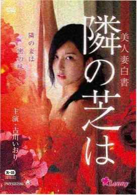 望夫成龙 周星驰早期电影 海报